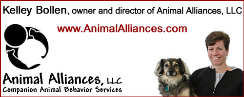 animal_alliances